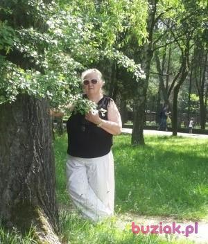 Alutka, Kobieta, 67, Będzin, Polska, Zdjęcie: 3