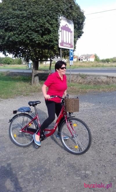 Anna, Kobieta, 65, Przemyśl, Polska, Zdjęcie: 4