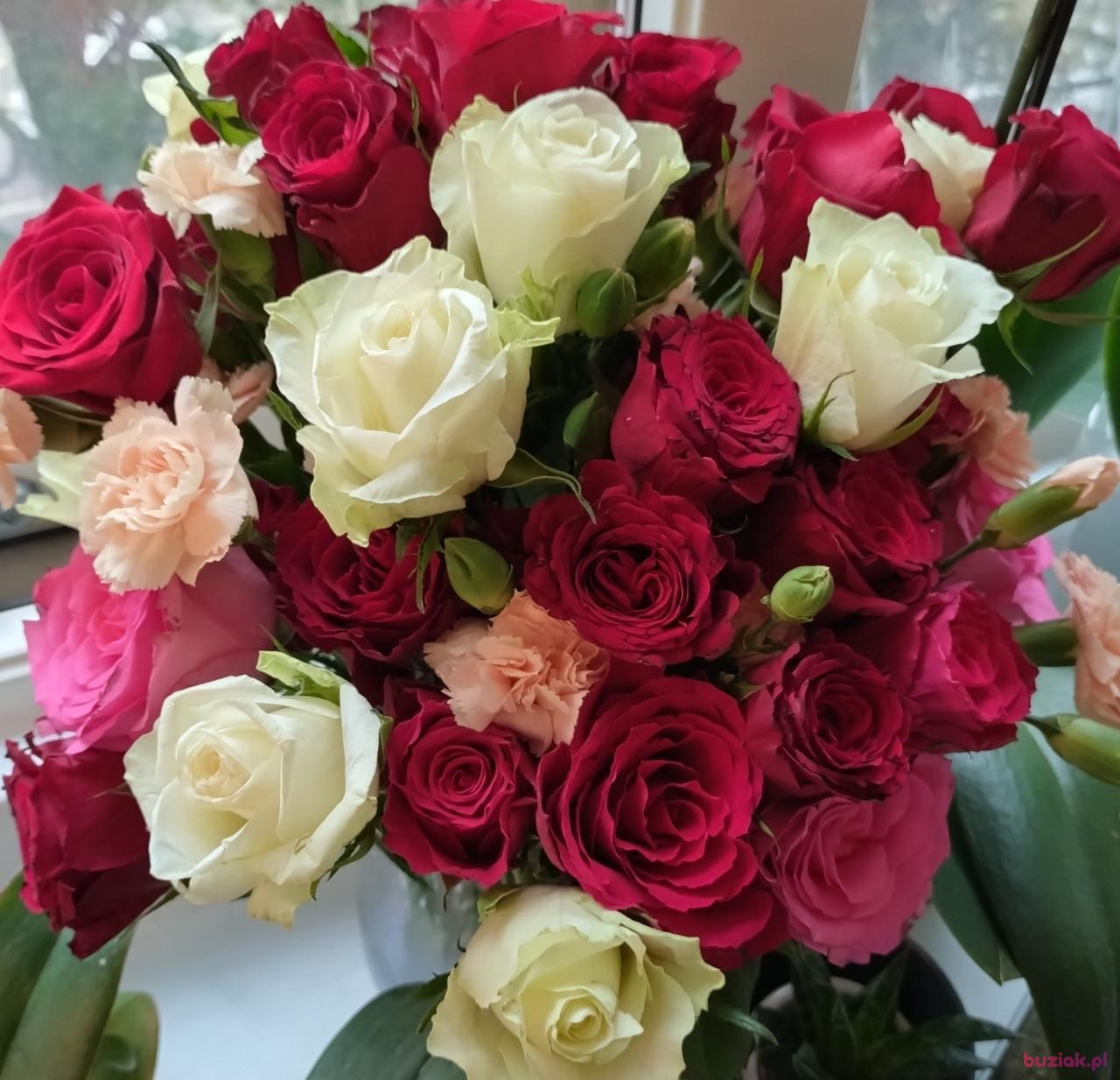 Barbara, Kobieta, 57, Wielka Brytania, Zdjęcie: 5