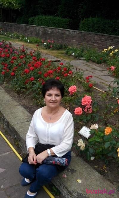 Bożena, Female, 70, Gliwice, Polska, Photo: 2