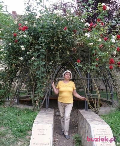 GalinaS, Kobieta, 77, Wrocław, Polska, Zdjęcie: 2