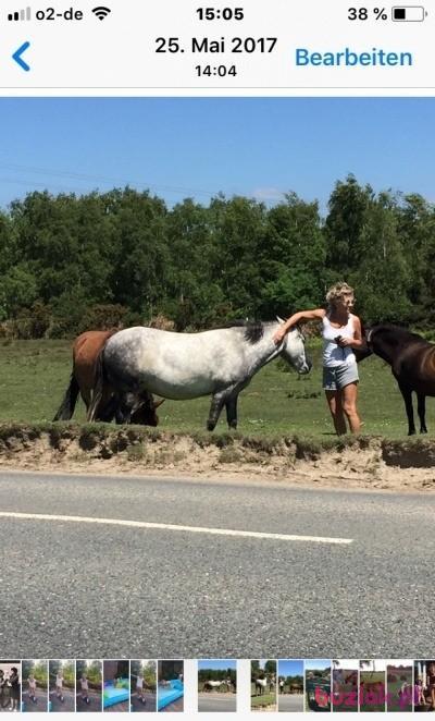 Ewa , Kobieta, 66, Dusseldorf, Niemcy, Zdjęcie: 8
