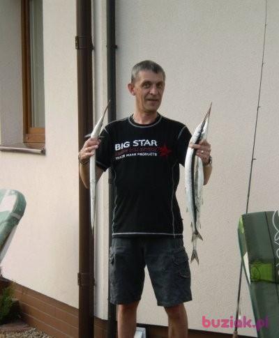 Wojtek47, Mężczyzna, 61, Warszawa, Polska, Zdjęcie: 3