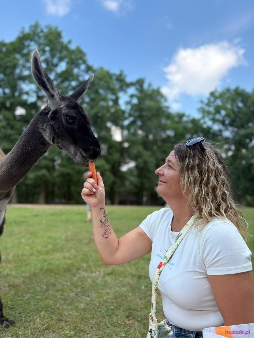 Anna, Kobieta, 49, Westminster, Wielka Brytania, Zdjęcie: 3