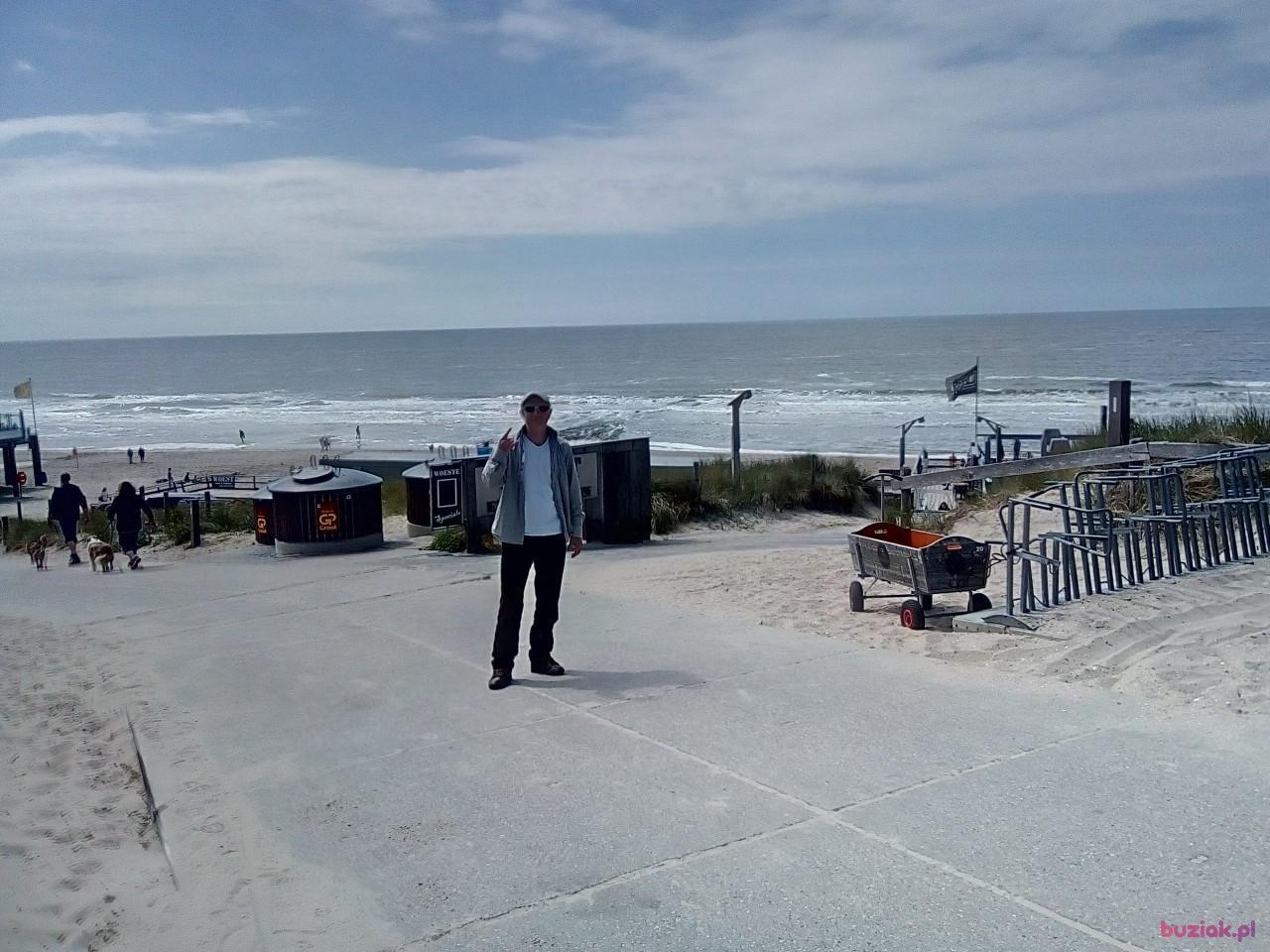 Andrzej, Male, 46, Haga, Holandia, Photo: 12