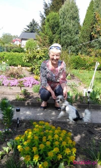 Ula, Kobieta, 69, Międzyrzec Podlaski, Polska, Zdjęcie: 3