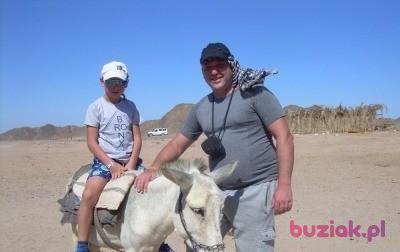 Zbyszek, Male, 53, Węgorzewo, Polska, Photo: 2