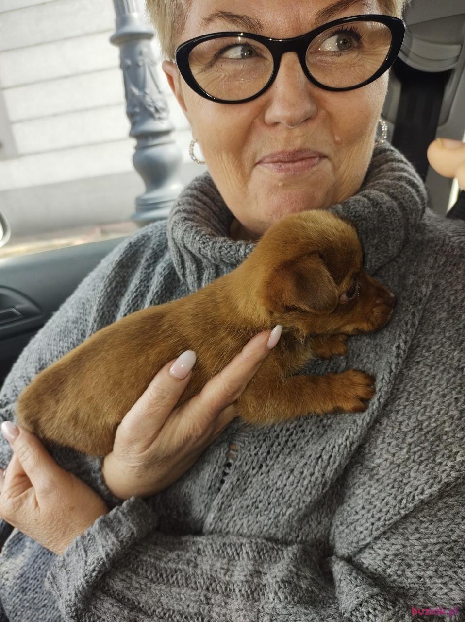 Kasia, Kobieta, 55, Włocławek, Polska, Zdjęcie: 1