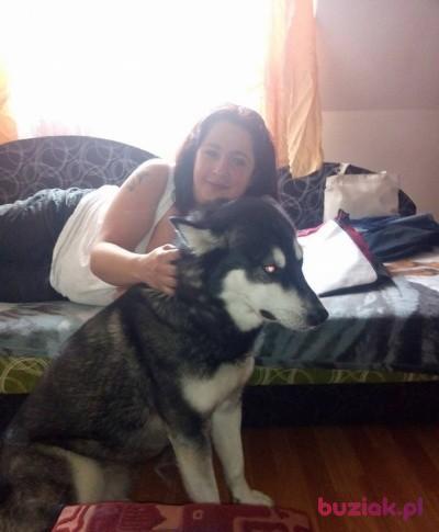 Iwona, Kobieta, 49, Katowice, Polska, Zdjęcie: 2