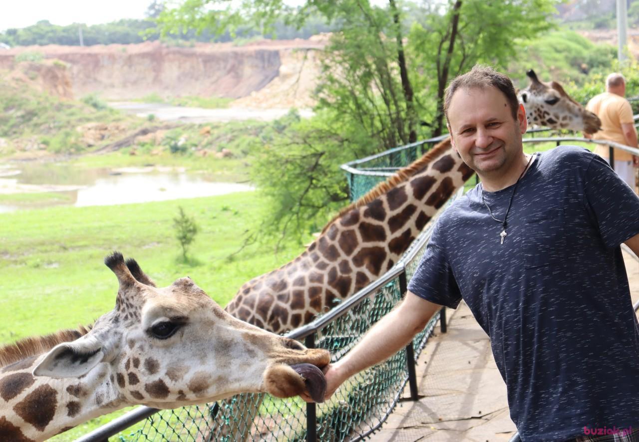 Marcin, Mężczyzna, 55, Mielec, Polska, Zdjęcie: 10