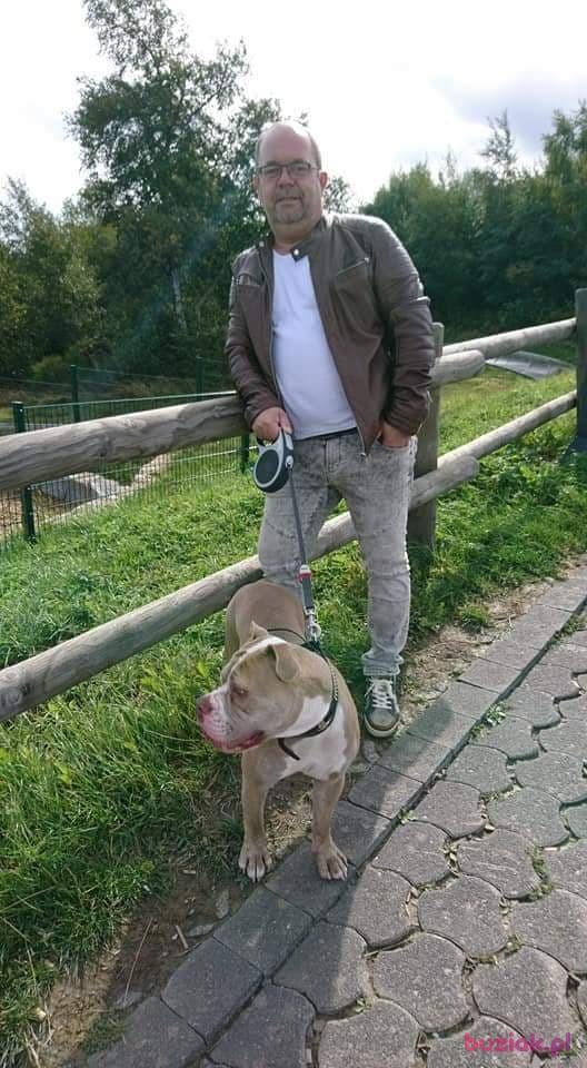 Jozek, Male, 61, Dortmund, Niemcy, Photo: 4