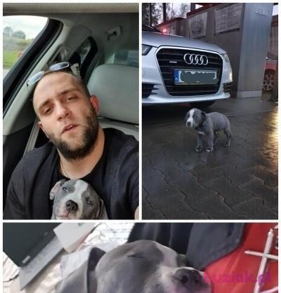 Nikolas, Mężczyzna, 34, Lubań, Polska, Zdjęcie: 2