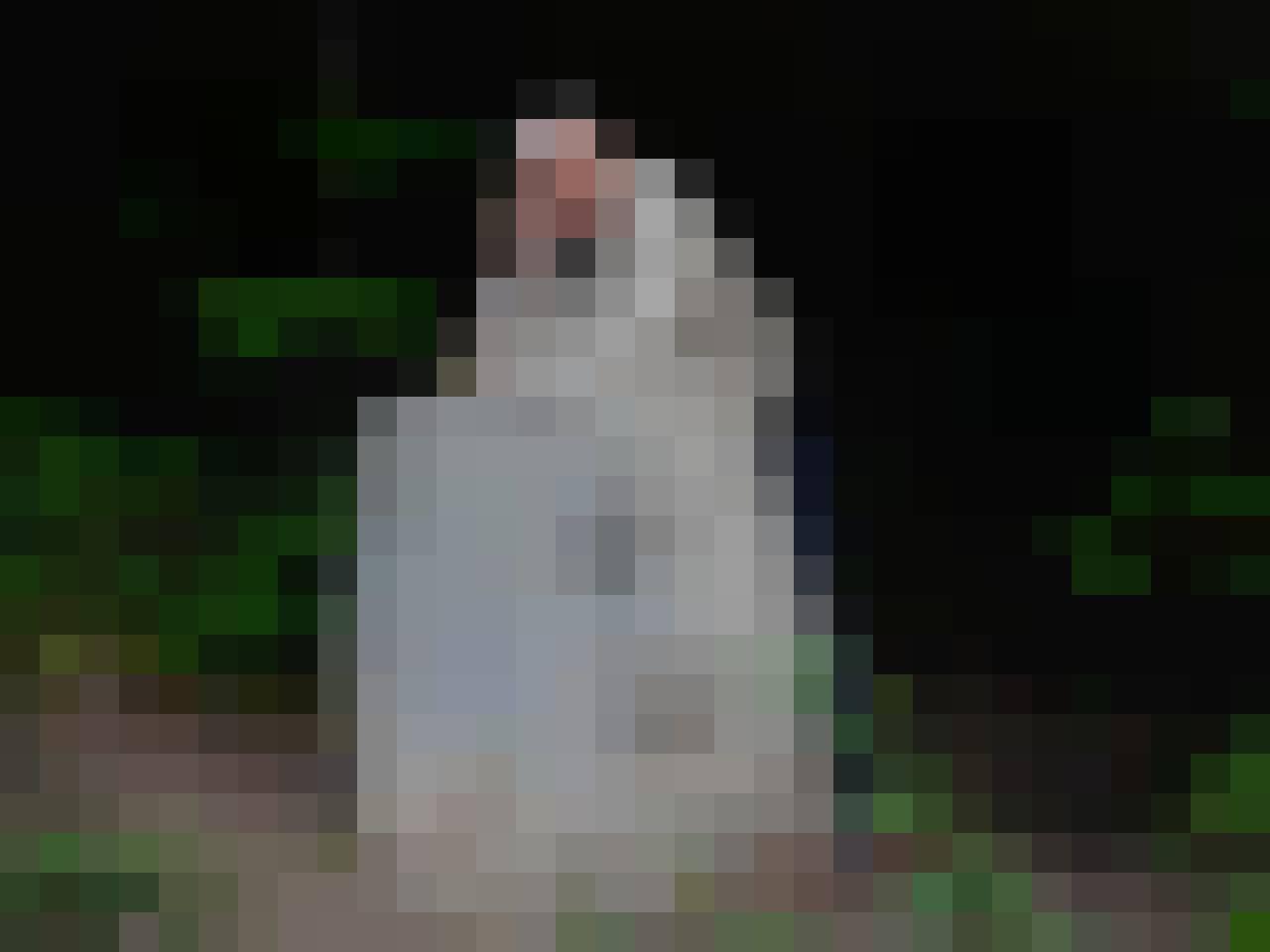 Tadeusz, Male, 62, Gliwice, Polska, Photo: 2