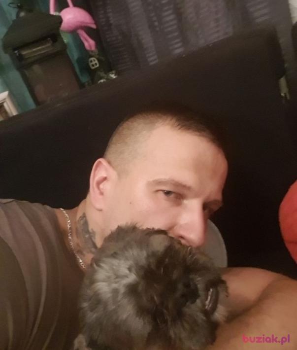 Albert, Male, 35, Hamburg, Niemcy, Photo: 2