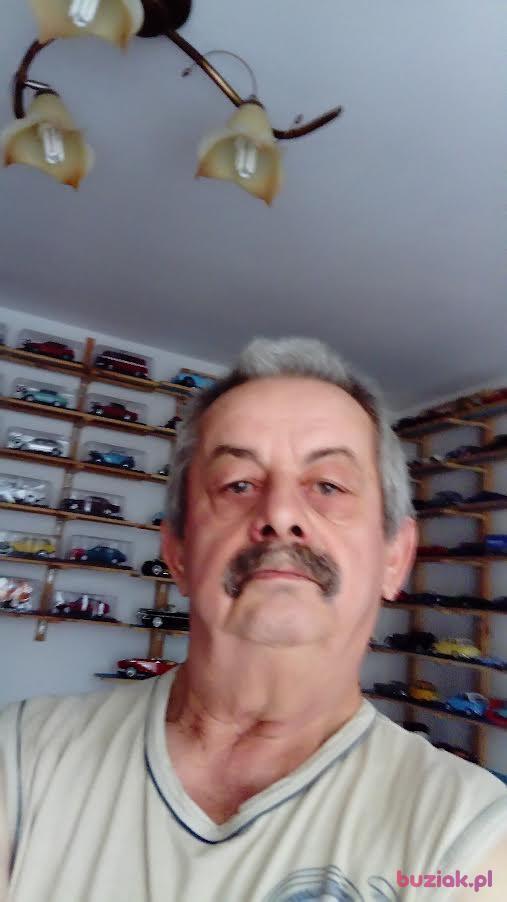 Krzys, Mężczyzna, 71, Puławy, Polska, Zdjęcie: 1
