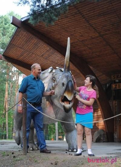 Andrzej, Mężczyzna, 62, Bydgoszcz, Polska, Zdjęcie: 3