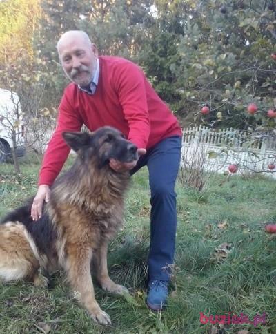 cezaryklimza, Mężczyzna, 67, Częstochowa, Polska, Zdjęcie: 2