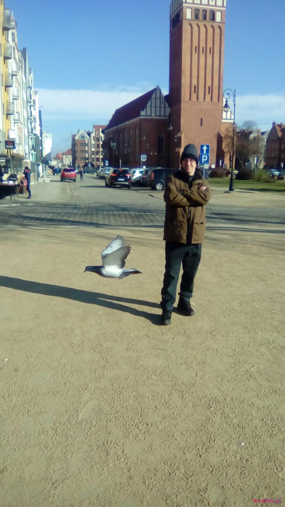 Grzegorz , Mężczyzna, 65, Elbląg, Polska, Zdjęcie: 14