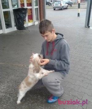 krzysiek , Male, 32, Słupsk, Polska, Photo: 3