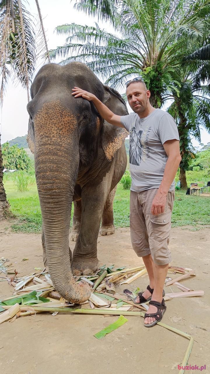 Tom, Mężczyzna, 45, Yeovil, Wielka Brytania, Zdjęcie: 2