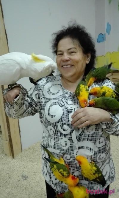 fajnarenata, Kobieta, 73, Gorzów Wielkopolski, Polska, Zdjęcie: 2