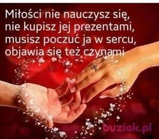 Romantic44, Mężczyzna, 55, Biała Podlaska, Polska, Zdjęcie: 6