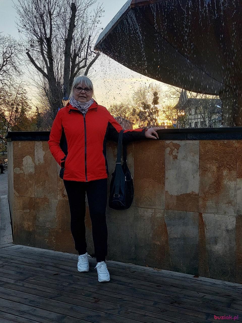 Joanna, Kobieta, 54, Włocławek, Polska, Zdjęcie: 6