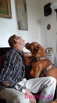Ryszard, Mężczyzna, 63, Hilton, Wielka Brytania, Zdjęcie: 4