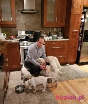 Jacek, Mężczyzna, 54, New York City, USA, Zdjęcie: 6