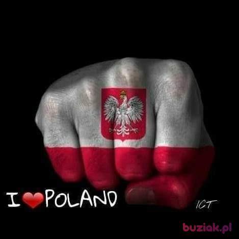 Daro, Mężczyzna, 44, Przeworsk, Polska, Zdjęcie: 10