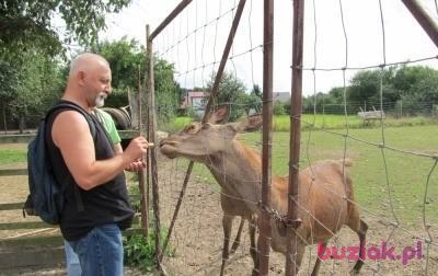 Jerzy, Male, 61, Gdańsk, Polska, Photo: 3