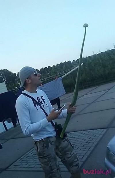 Wojtek, Male, 40, Holandia, Photo: 3
