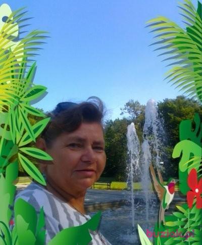 Diana, Kobieta, 69, Skarżysko-Kamienna, Polska, Zdjęcie: 2