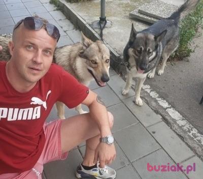Marcin, Male, 40, Neuburg an der Donau, Niemcy, Photo: 3