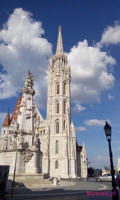 Damian, Mężczyzna, 51, Strzyżów, Polska, Zdjęcie: 3