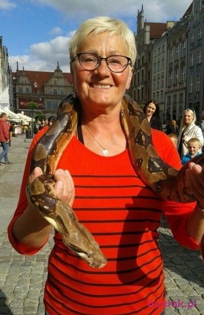 Hania, Kobieta, 69, Bydgoszcz, Polska, Zdjęcie: 2