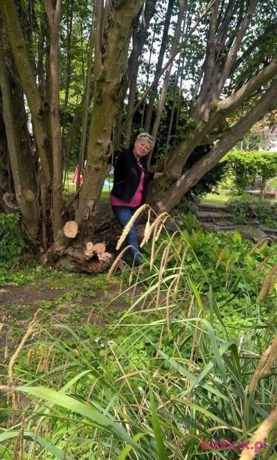 Elzbieta, Female, 66, Bystrzyca Kłodzka, Polska, Photo: 4