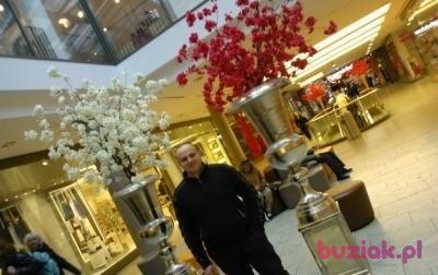 bartek, Mężczyzna, 38, Lębork, Polska, Zdjęcie: 3