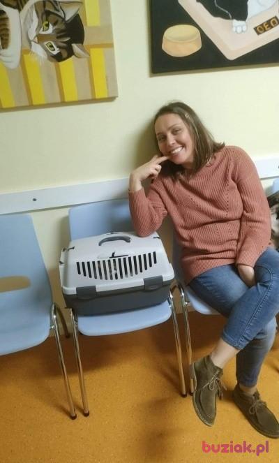 Marta, Kobieta, 36, Zwolle, Holandia, Zdjęcie: 2