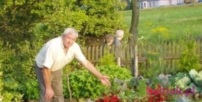 RYSZARD, Mężczyzna, 87, Włocławek, Polska, Zdjęcie: 7