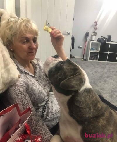 Elzbieta, Kobieta, 63, Szczecin, Polska, Zdjęcie: 5