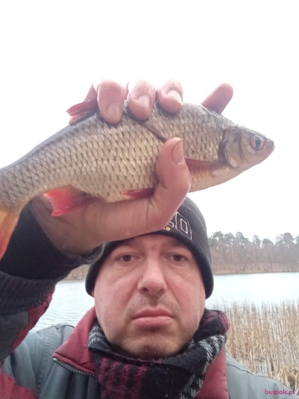 Adrian, Mężczyzna, 46, Włocławek, Polska, Zdjęcie: 2