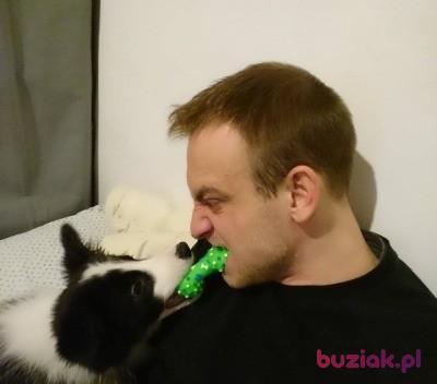 Tomasz, Male, 33, Wrocław, Polska, Photo: 2