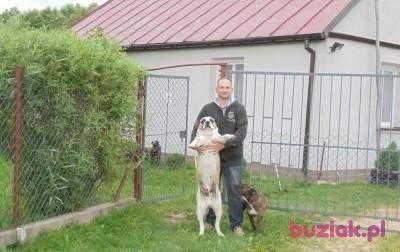 wojtek, Mężczyzna, 50, Warszawa, Polska, Zdjęcie: 3