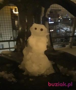 brakmikogos, Female, 48, Gdańsk, Polska, Photo: 2