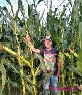 Adam, Mężczyzna, 33, Żory, Polska, Zdjęcie: 4