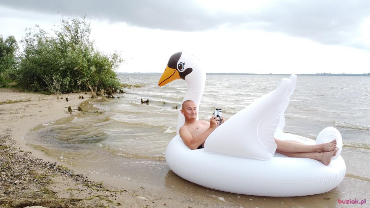 Michał, Male, 37, Zgierz, Polska, Photo: 556