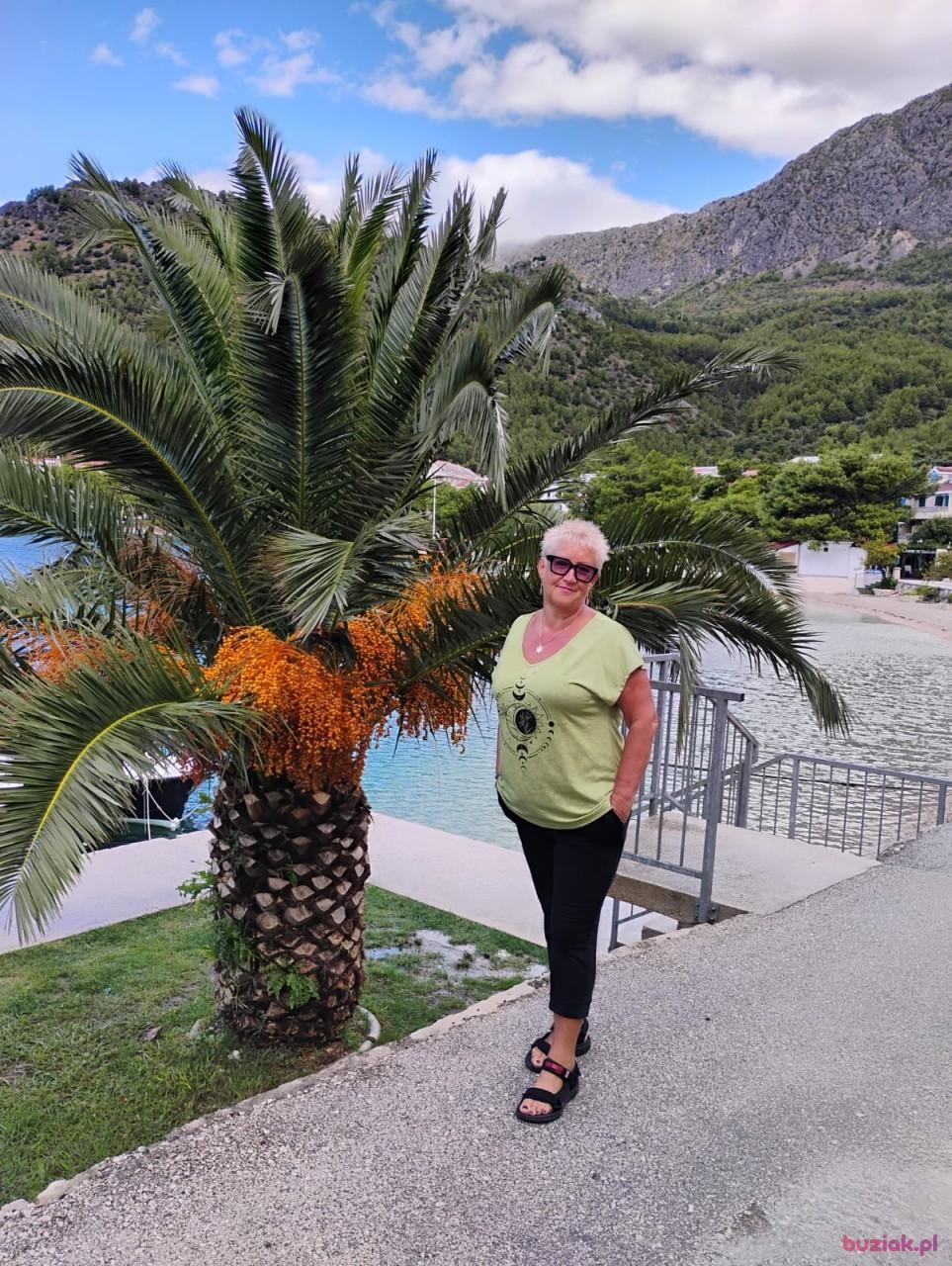 Halina, Female, 68, Jaworzno, Polska, Photo: 28
