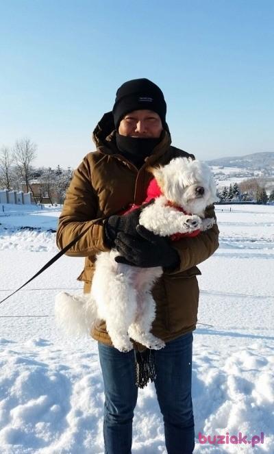 Kkoo , Mężczyzna, 50, Westminster, Wielka Brytania, Zdjęcie: 2