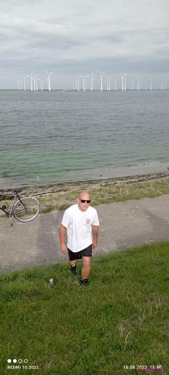 Daniel, Male, 35, Haga, Holandia, Photo: 3